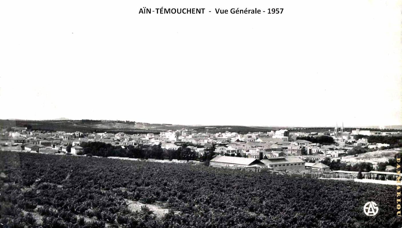 Ain-Temouchent - Vue Generale - 1957.jpg